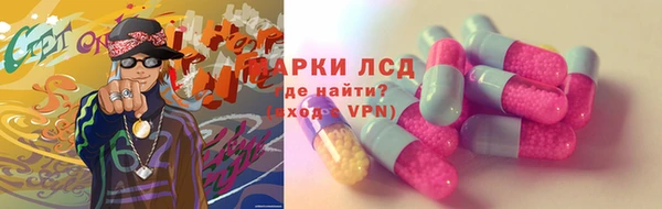 тгк Кирсанов